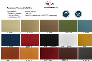 Kunstleder-Kollektion38